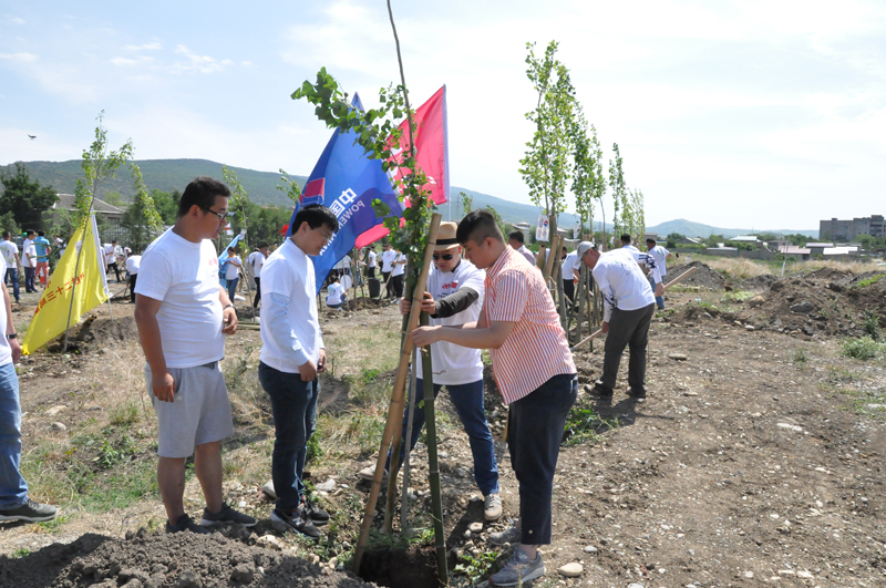 现场植树活动-1.JPG