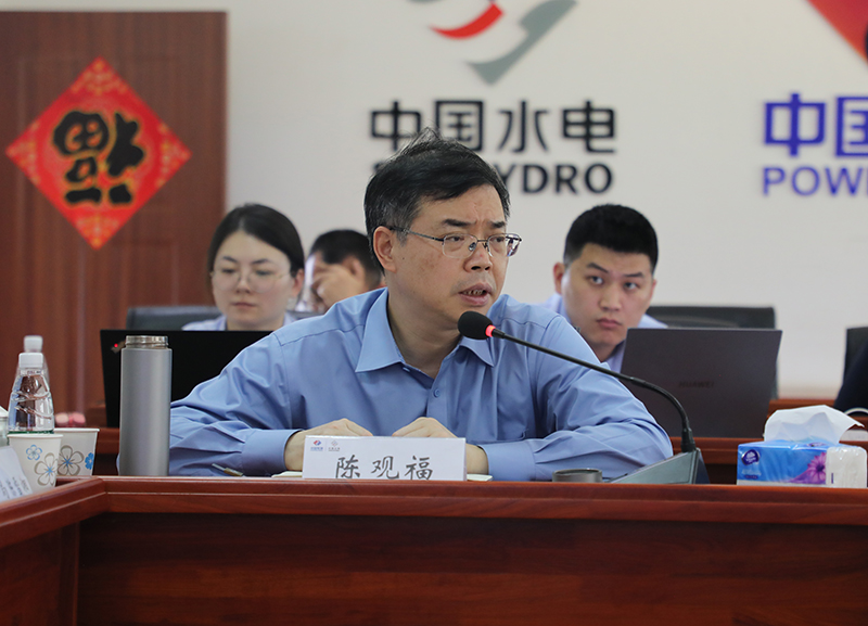 赞比亚国别规划会-陈观福总.JPG